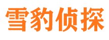 阿图什侦探公司